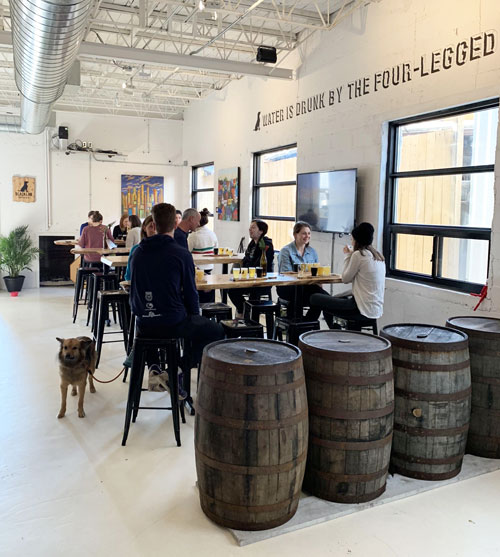 dog-friendly Black Lab Brewery