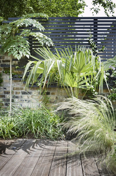black backyard fence and plants