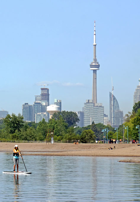 toronto paddler at the beach